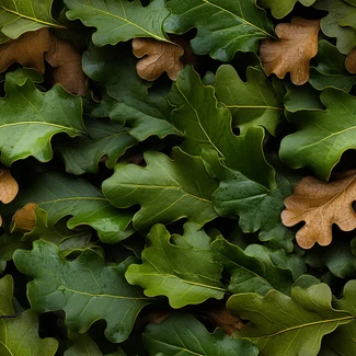 Autumnal Oak Leaf Pattern featuring a macro photograph of an oak leaf with intricate details, bold colors, and rustic charm.