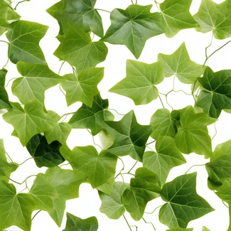 A seamless pattern of green and white ivy leaves on a white background, perfect for nature lovers and those who enjoy a touch of organic charm.