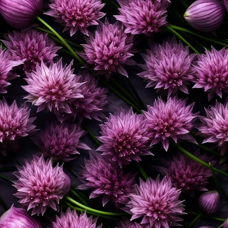 Purple chives seamless still life pattern on a dark background