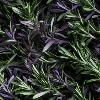 A close-up of violet and green rosemary stems arranged in a layered surface style. The pattern has a dark gray and green color scheme with vibrant pops of purple and white.